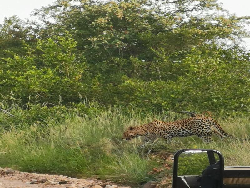 Mbizi Bush Lodge image