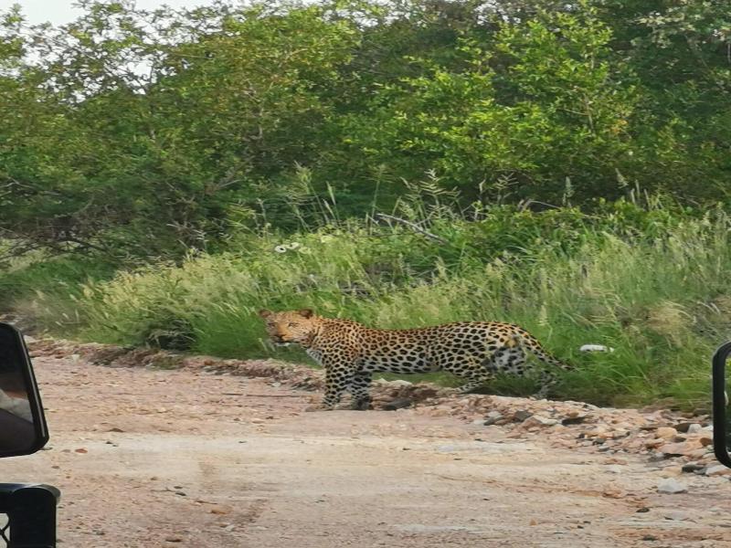 Mbizi Bush Lodge image