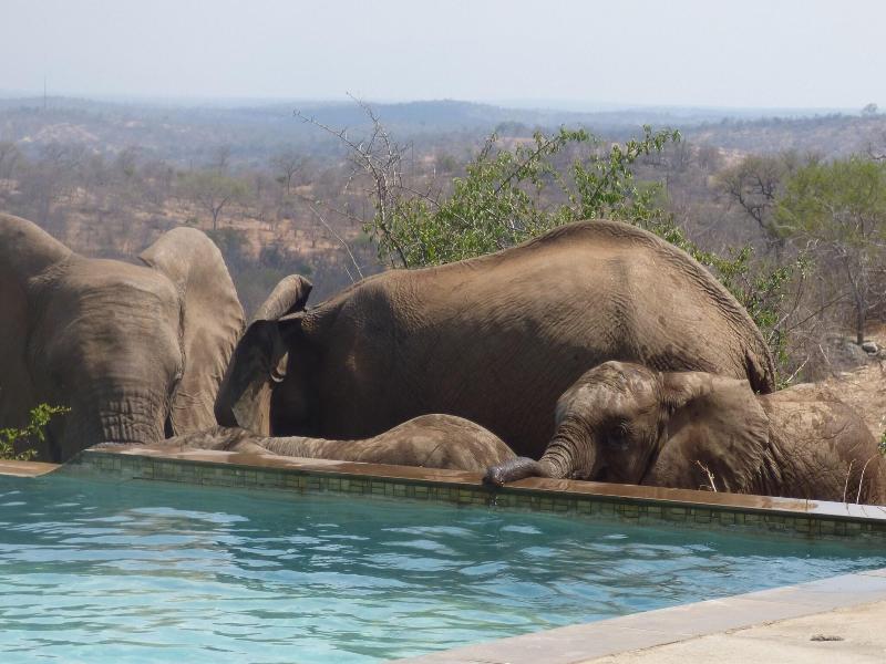 Mbizi Bush Lodge image