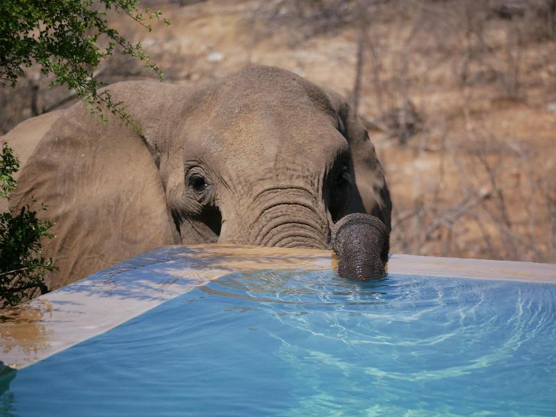 Mbizi Bush Lodge image