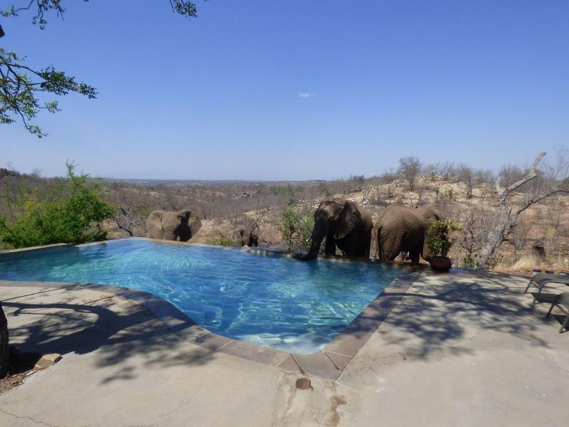 Mbizi Bush Lodge image