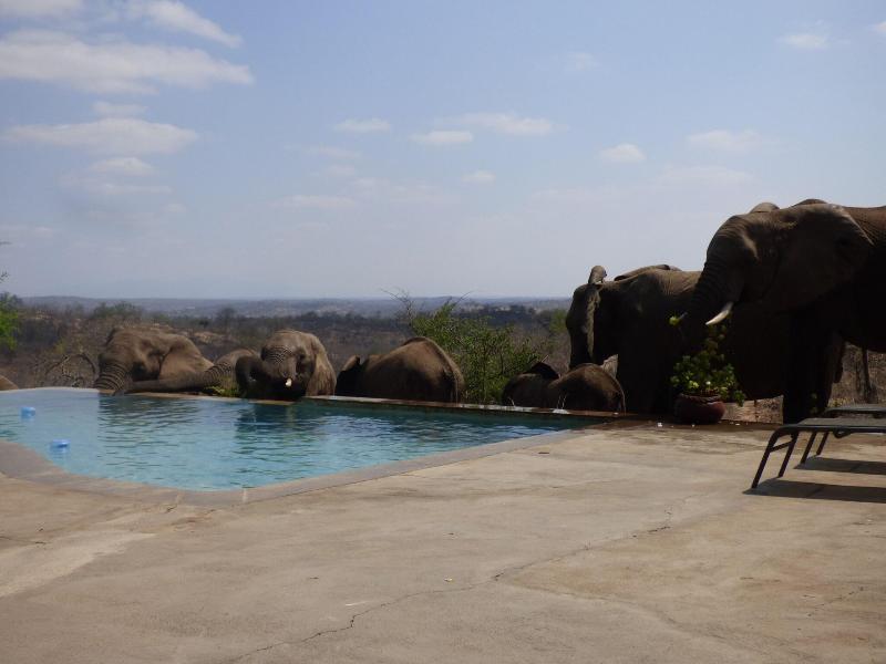 Mbizi Bush Lodge image