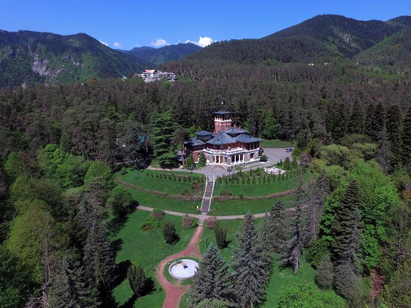 Borjomi Likani Health & Spa Centre image