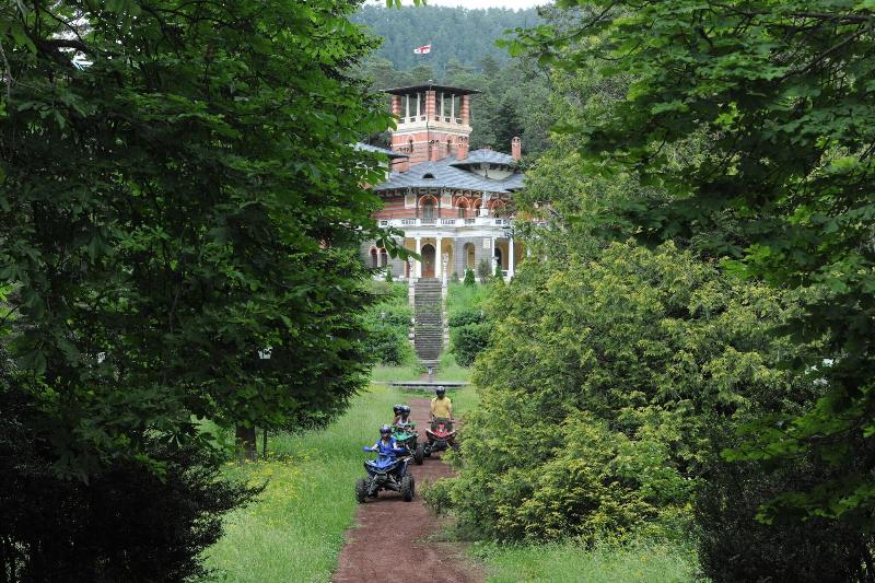 Borjomi Likani Health & Spa Centre image