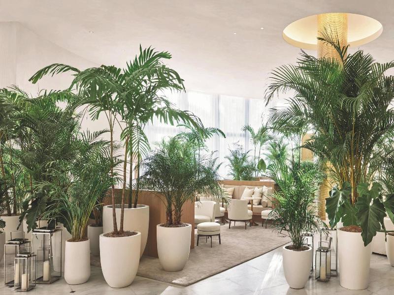 The Miami Beach Edition image