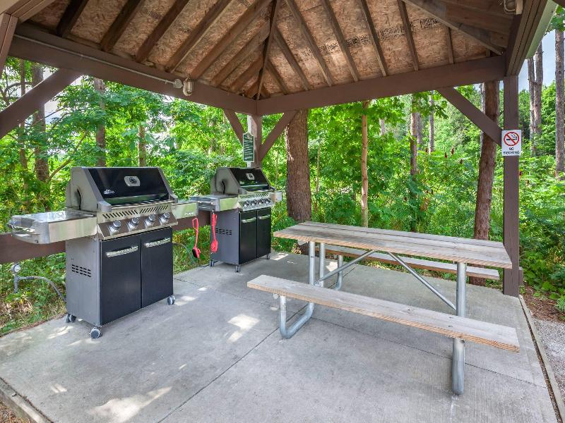 Carriage Ridge Resort image