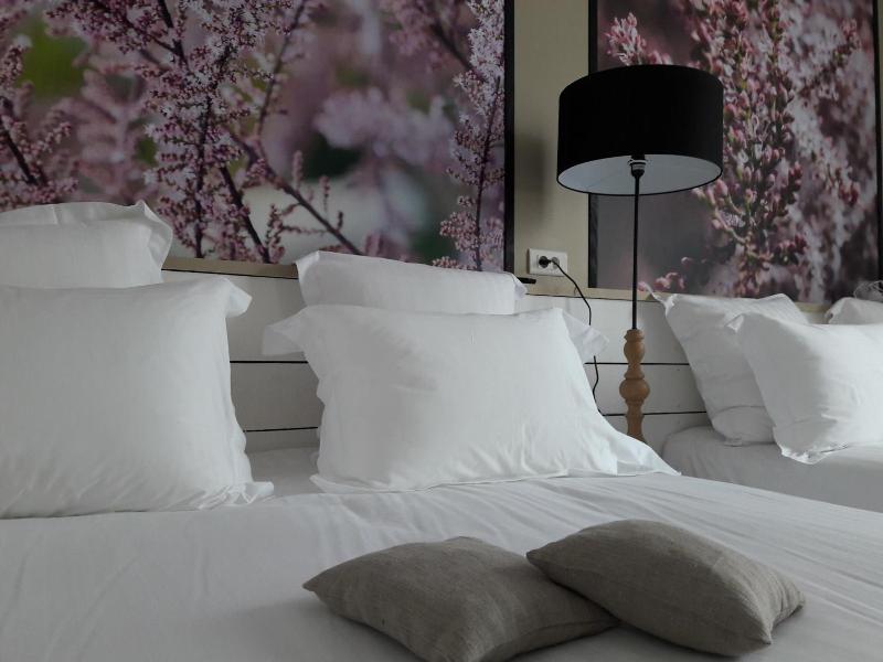 Hotel Chez Carriere image