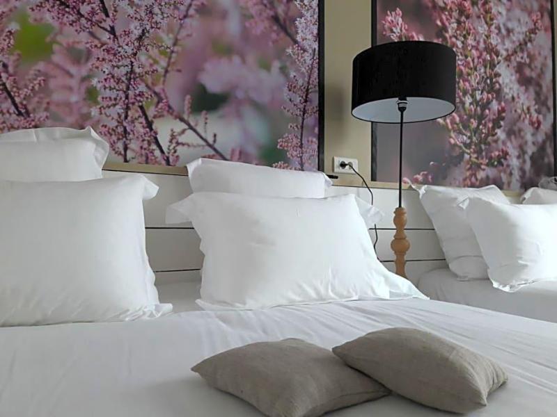 Hotel Chez Carriere image