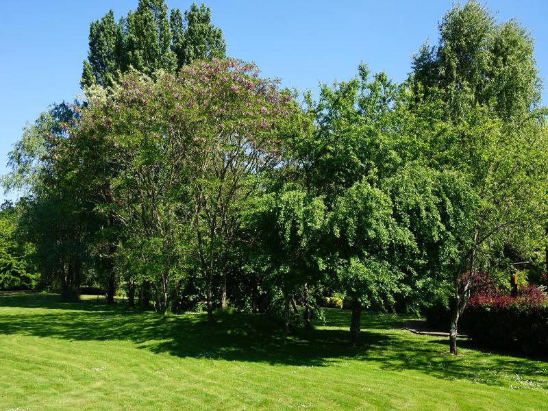 Domaine De L'Arbrelle image