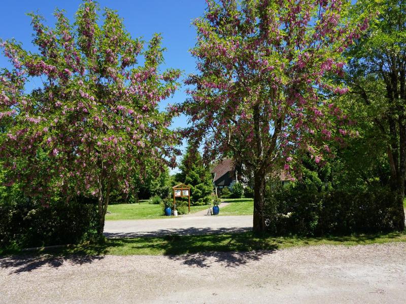 Domaine De L'Arbrelle image