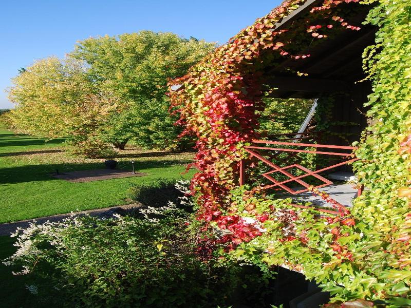 Domaine De L'Arbrelle image
