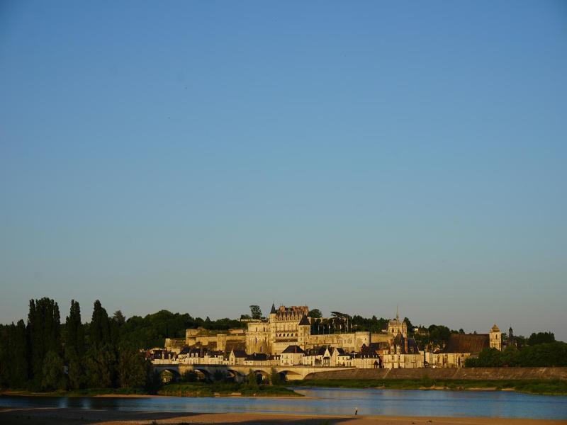 Domaine De L'Arbrelle image