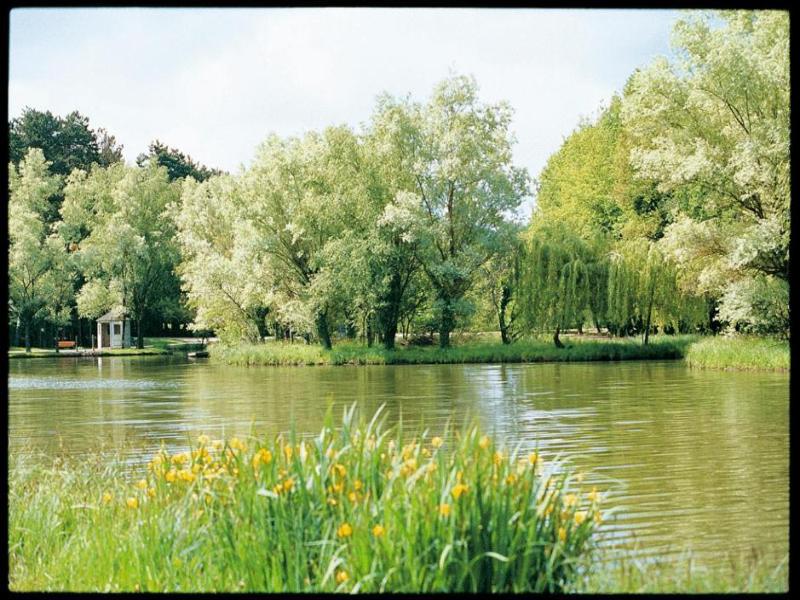 Hotel Du Lac image