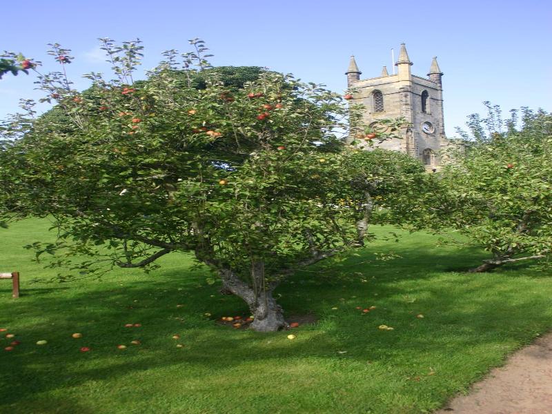 Blue Bell Hotel image