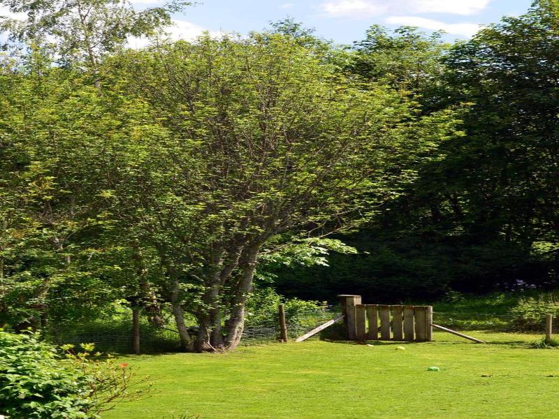 Ardlogie Guest House image