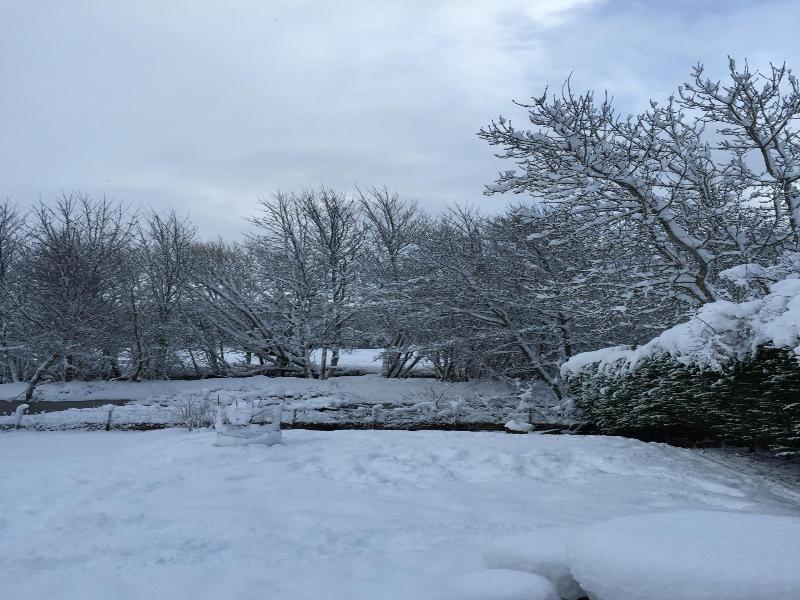 Ardlogie Guest House image