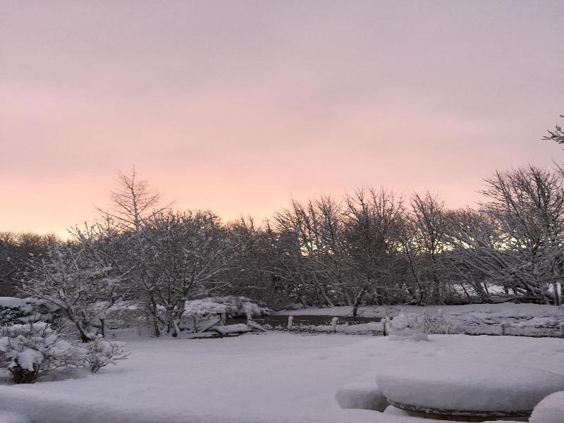 Ardlogie Guest House image