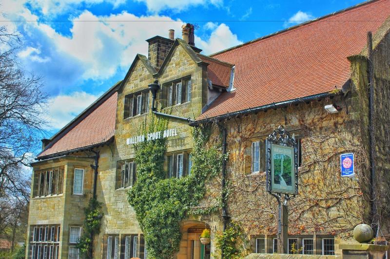 The Mallyan Spout Hotel image