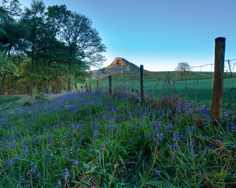 The Mallyan Spout Hotel image
