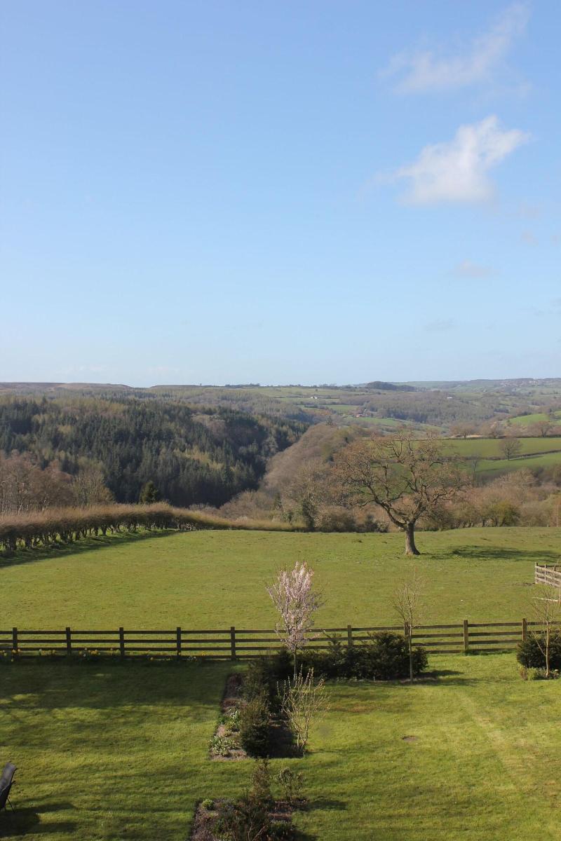 The Mallyan Spout Hotel image