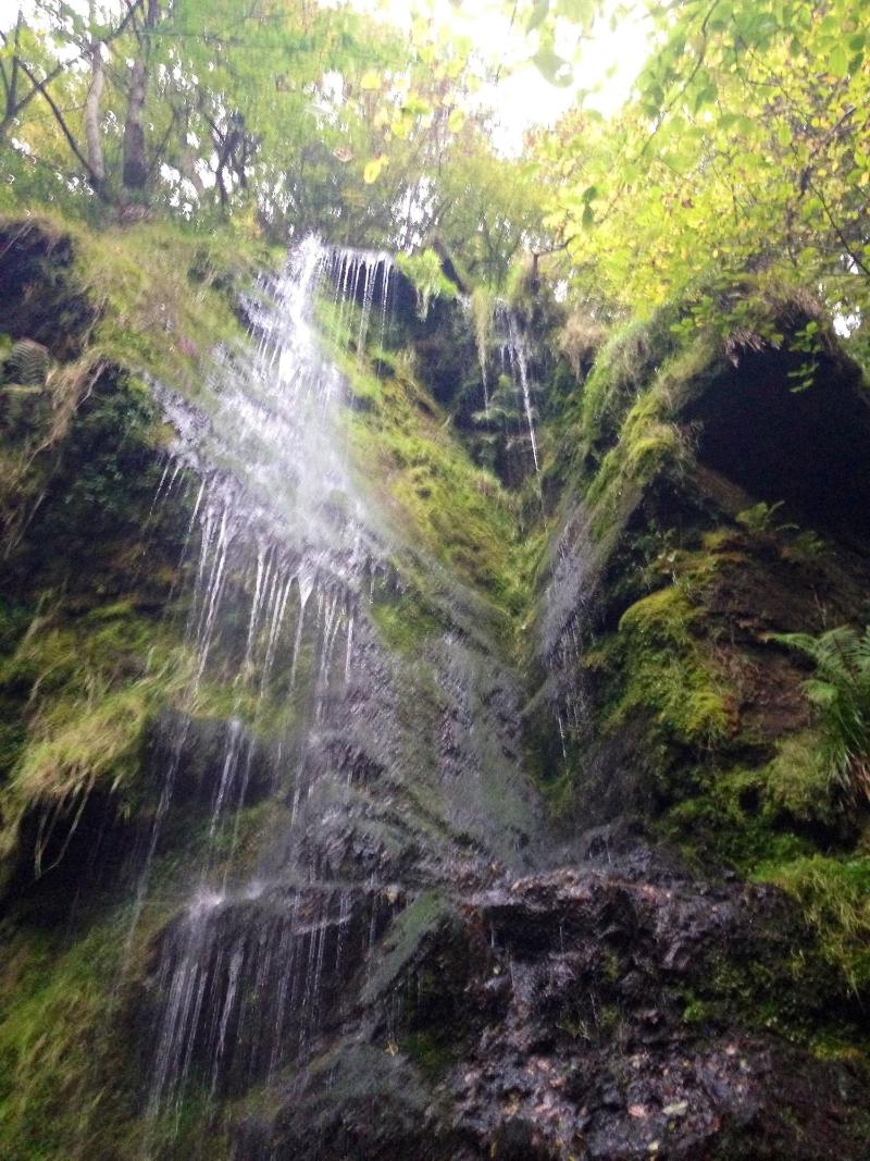 The Mallyan Spout Hotel image