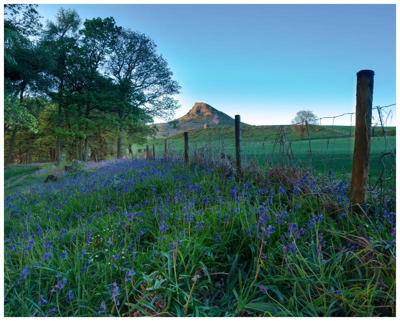 The Mallyan Spout Hotel image
