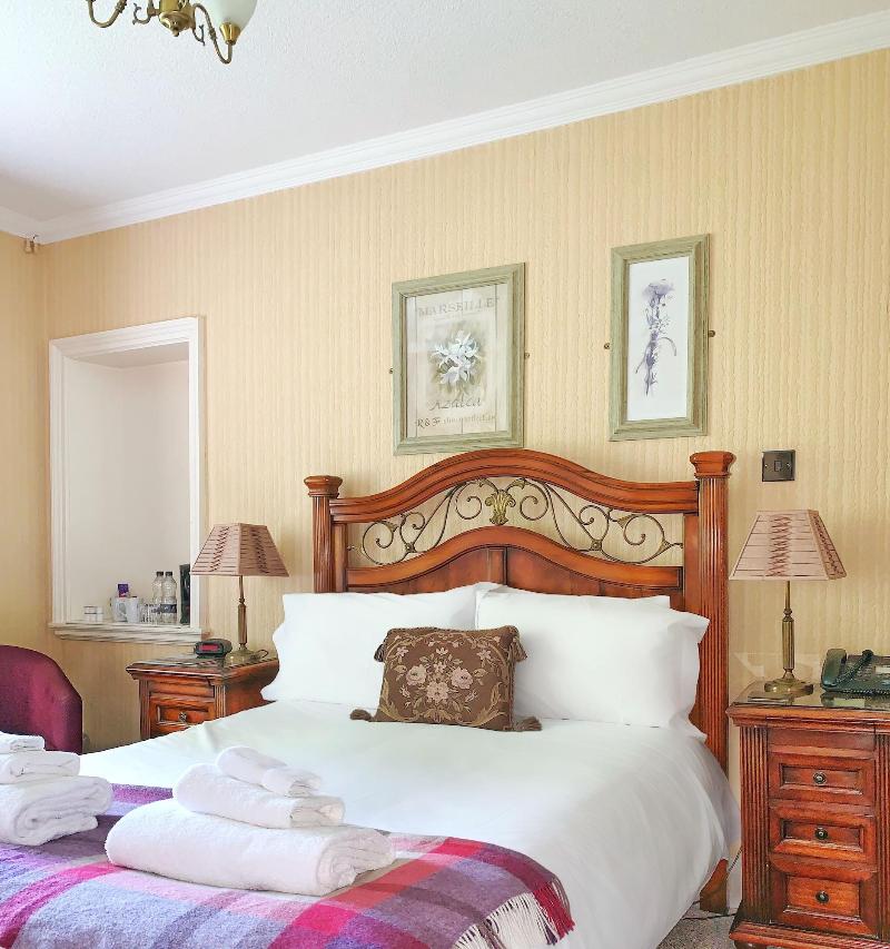 The Mallyan Spout Hotel image