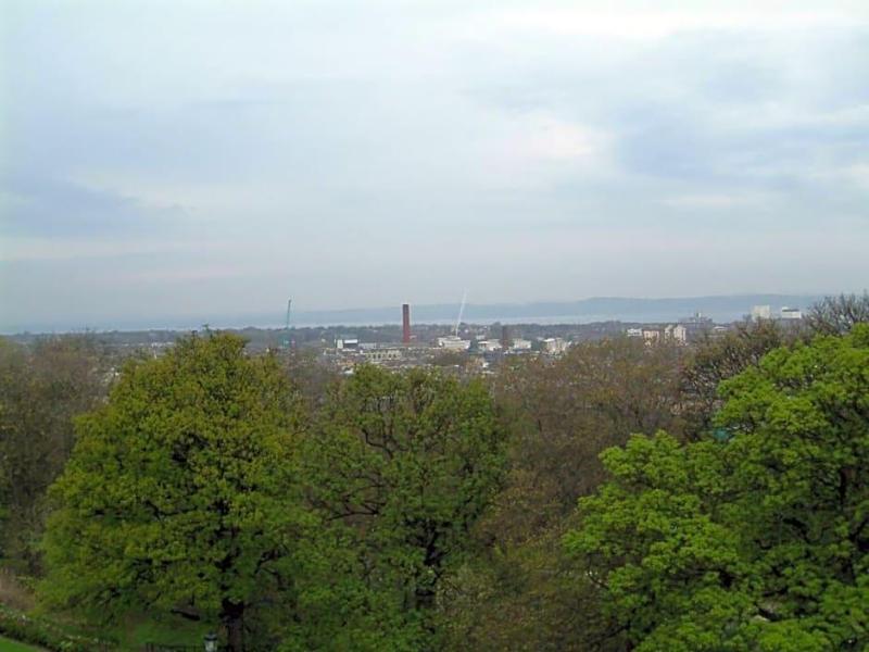 Terrace Hotel image