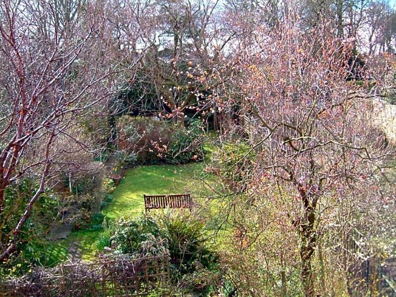 Terrace Hotel image