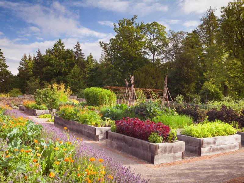 Rudding Park Hotel Spa   Golf