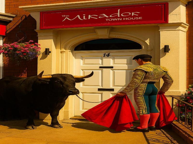 The Mirador Boutique Town House - Swansea image
