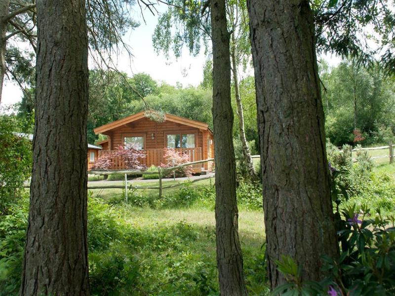 Cottesmore Golf   Country Club image