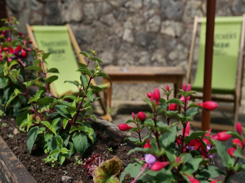 Mary Arden Inn image