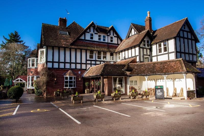 The White Buck Inn image