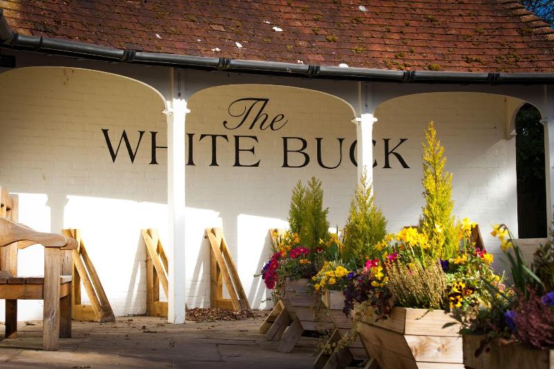 The White Buck Inn image