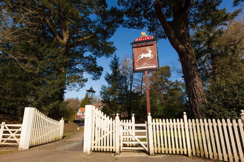 The White Buck Inn image