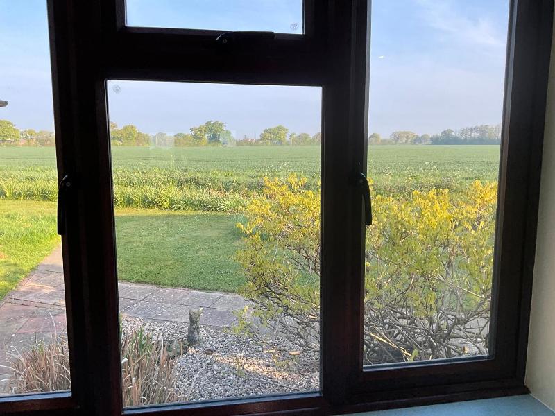 Pheasant Suites image