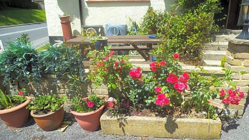 Englands Rose Pub image