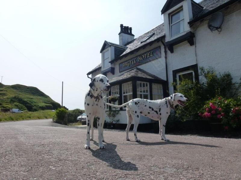 Argyll Hotel image