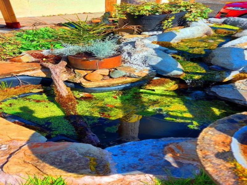 Sportsmans Valley Hotel image