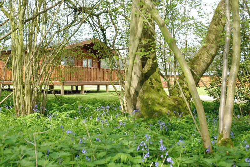 South Winchester Lodges