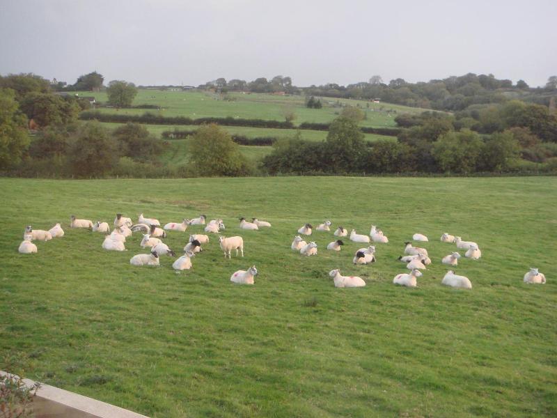 Manian Lodge image