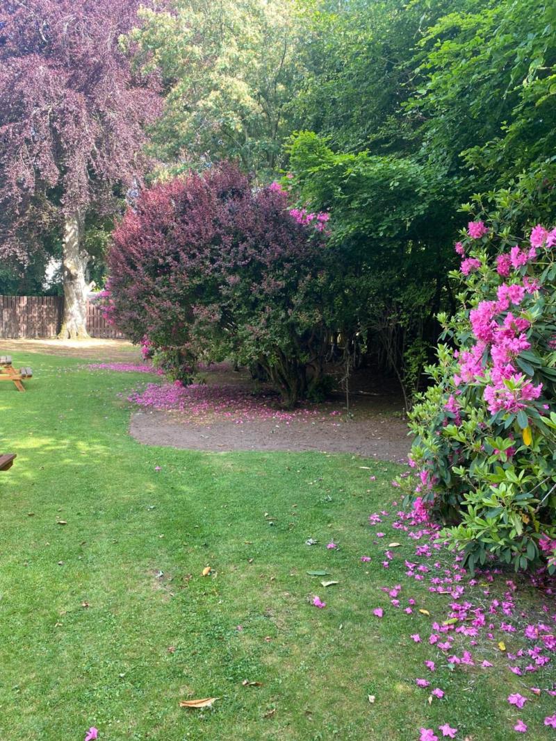 Bennachie Lodge Hotel image