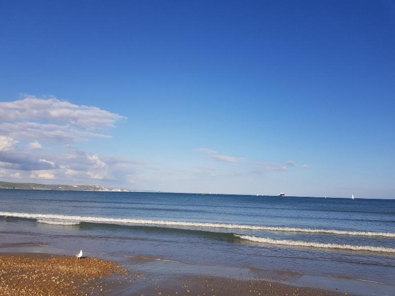 The Seaspray image