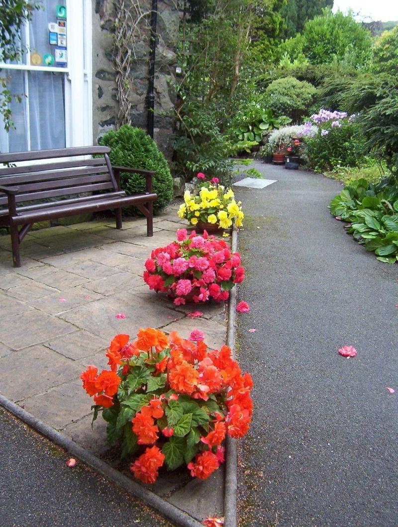 Ivy House image