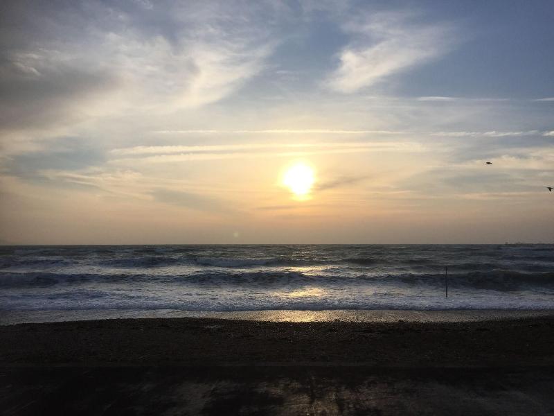 The Beach House image