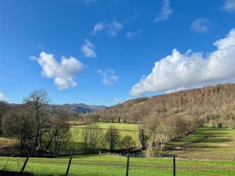 Dolgun Uchaf Guesthouse image