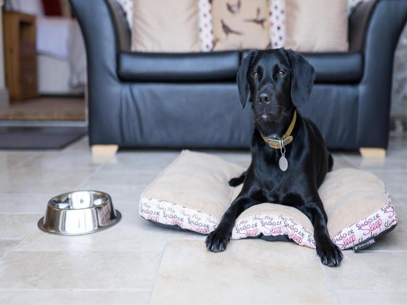 Canaston Oaks Luxury Bed   Breakfast image