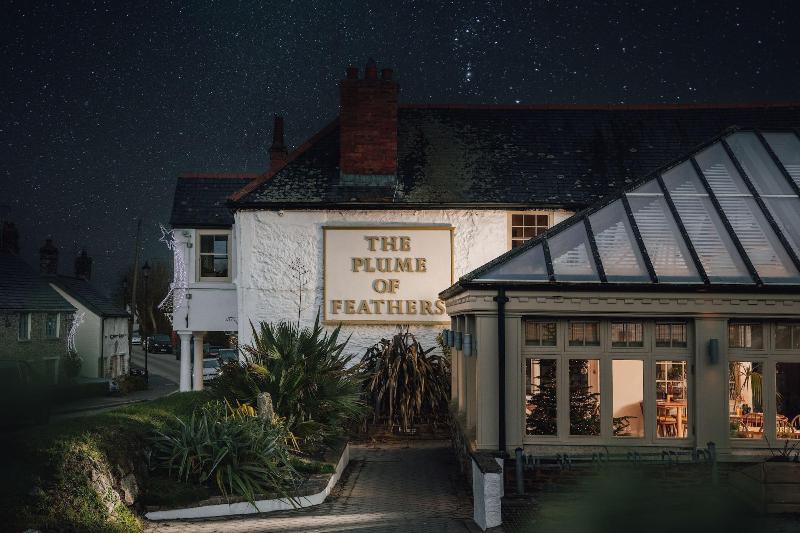 The Plume of Feathers image