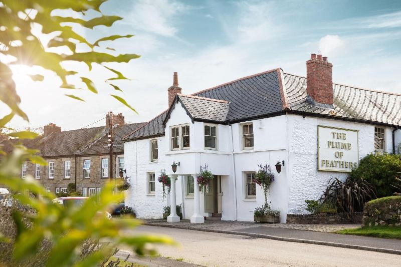 The Plume of Feathers image